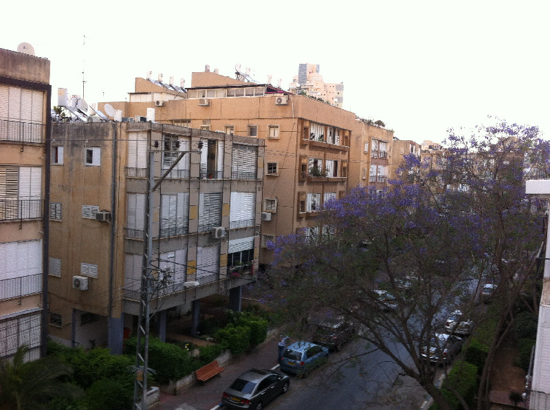 שינקין - 3