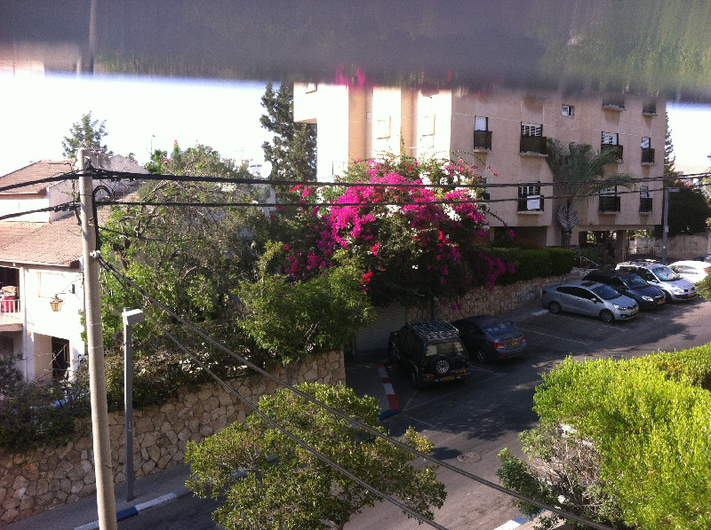 זבוטינסקי - 3