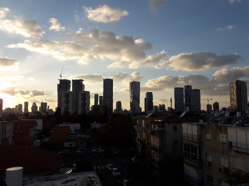 חביבה רייך - 2