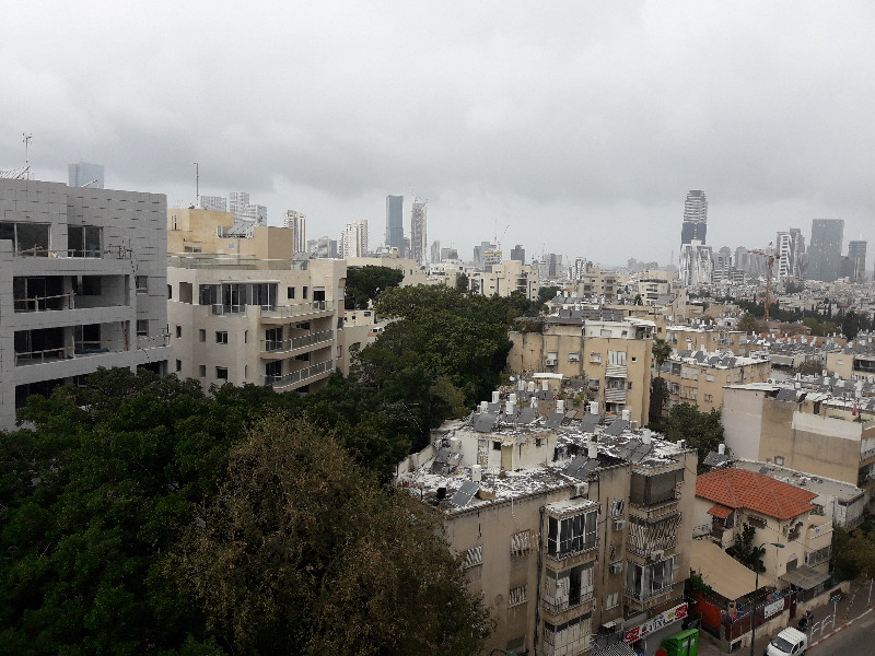 ריינס  - 3
