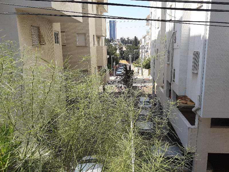 כצנלסון - 2