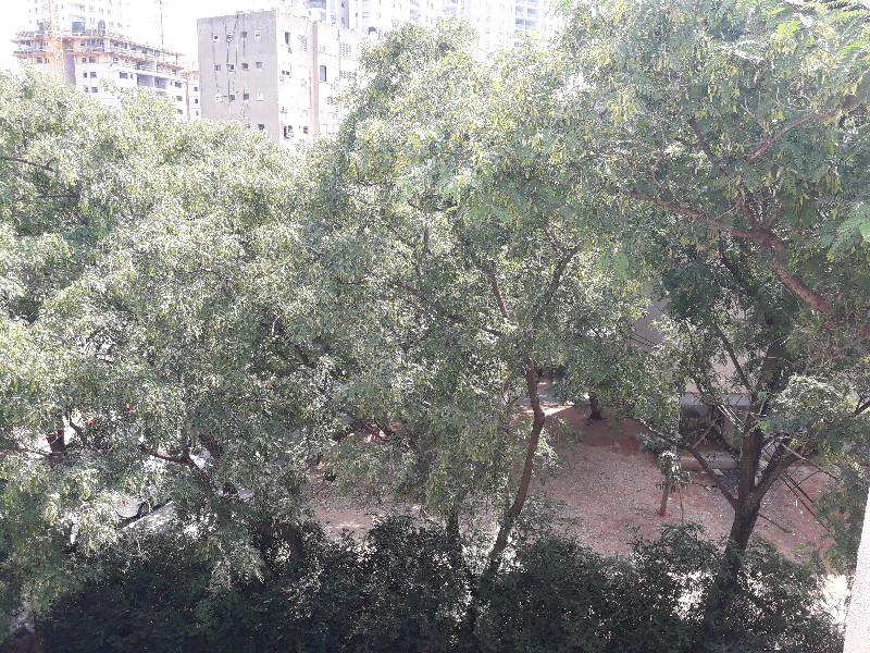 בית אל - 2