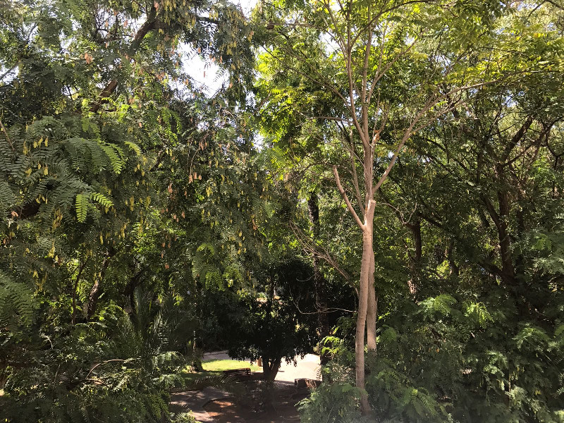 חי טייב  - 3