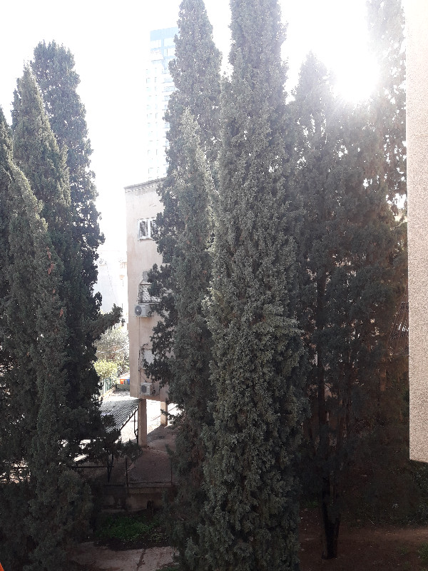 שילה  - 3