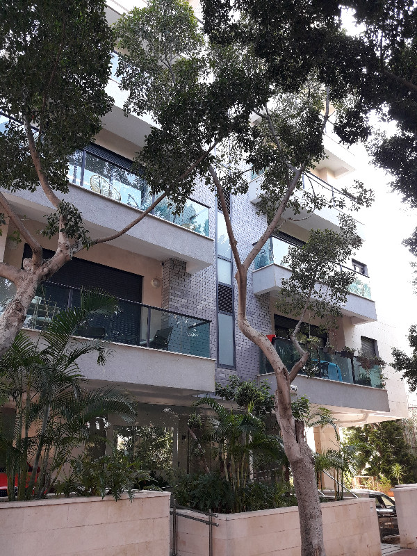 רמז דוד - 4