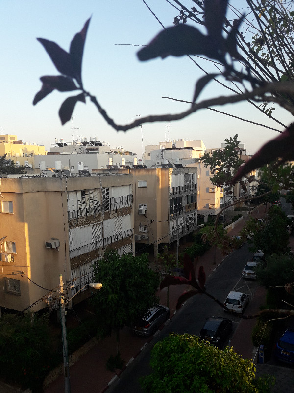 אמיר  - 2