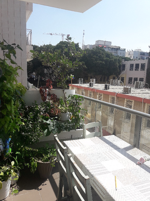 שינקין - 2