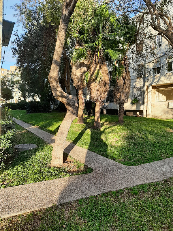 דרך השלום - 3