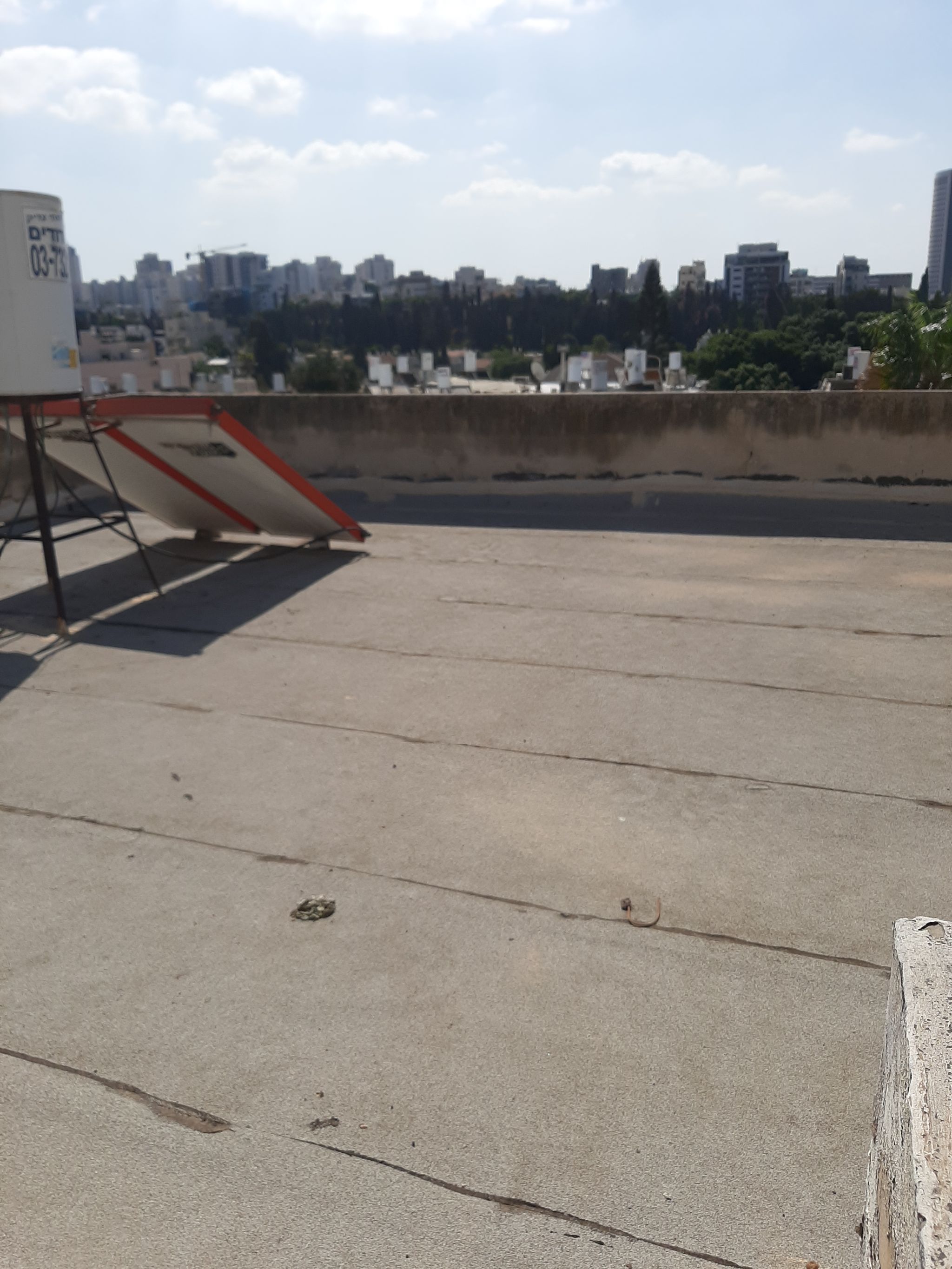 כצנלסון - 2