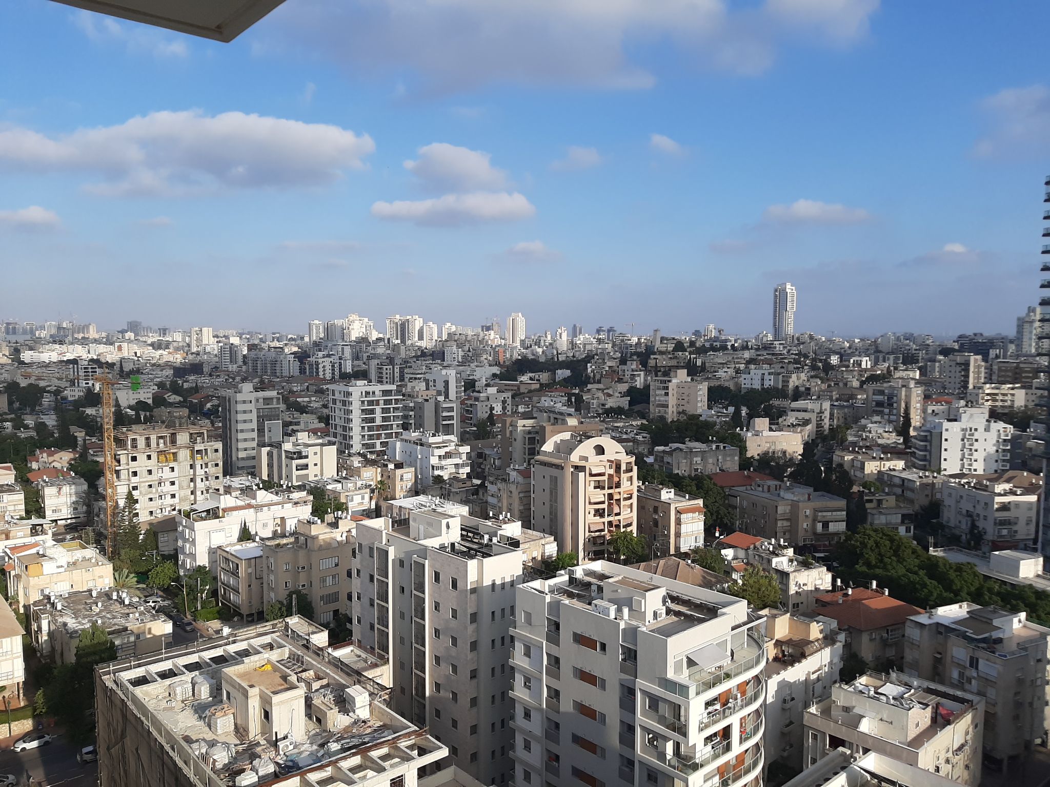 האשל  - 5