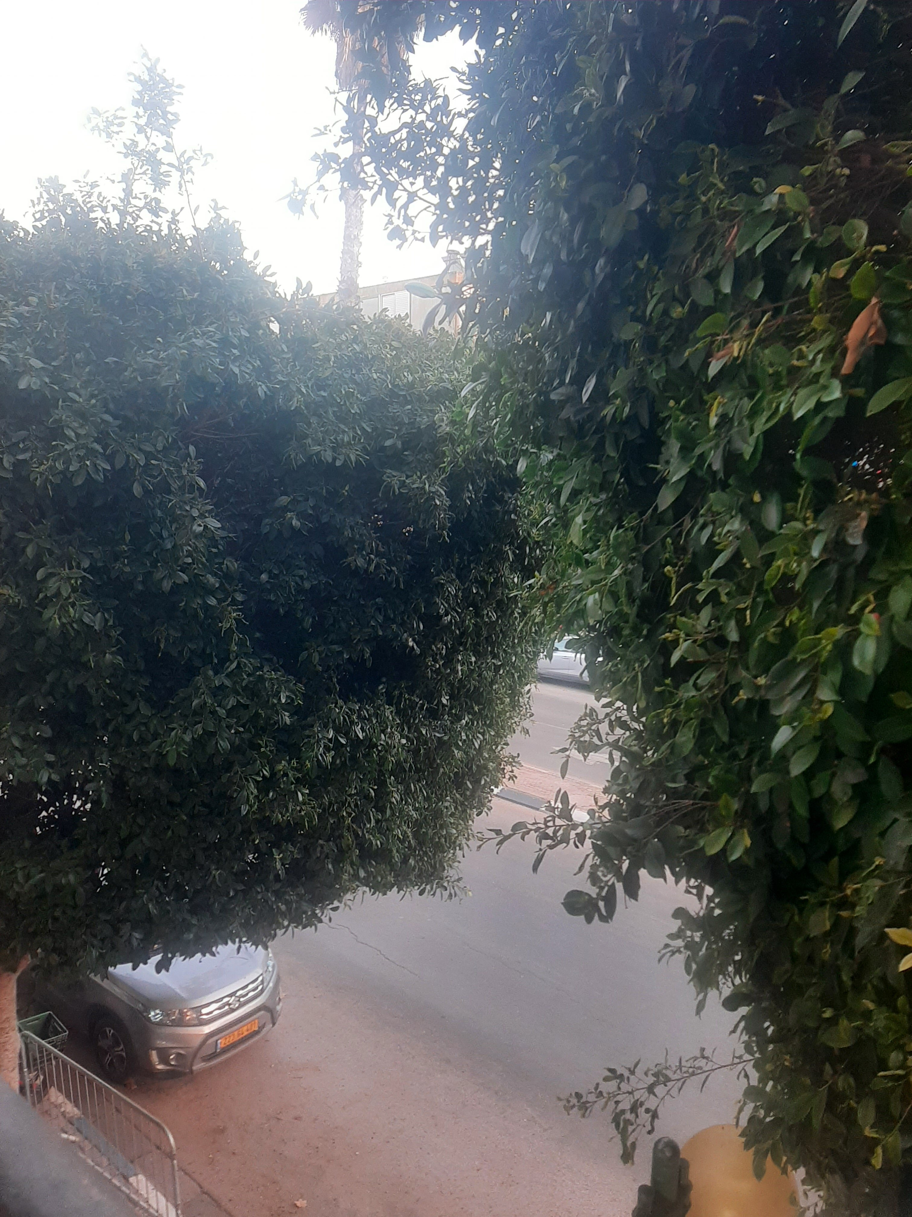 אחדות העבודה - 6