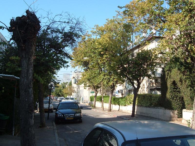 צהל - 5