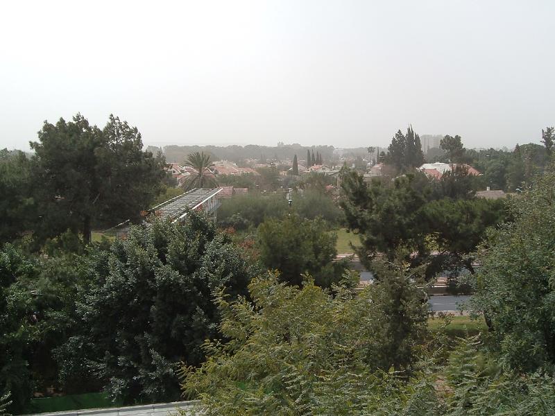 הבילויים - 4