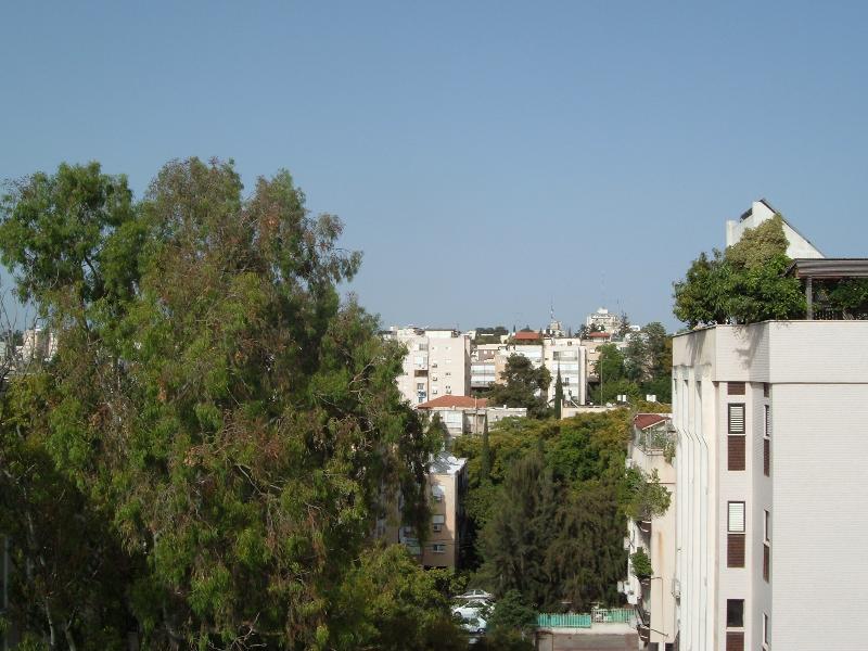 אחדות העבודה - 2