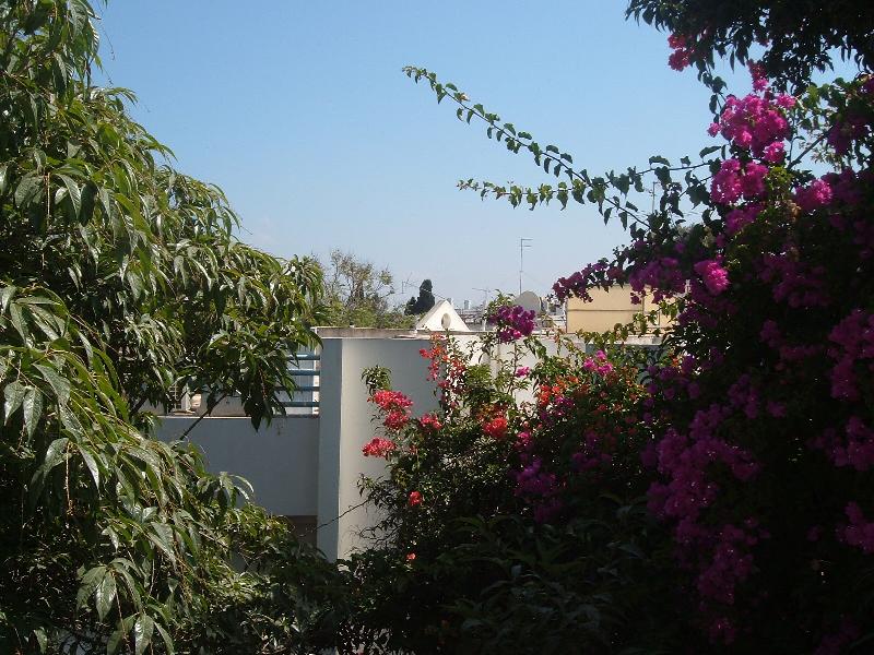 חיבת ציון - 2
