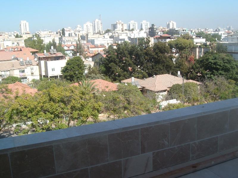 הקונגרס - 2