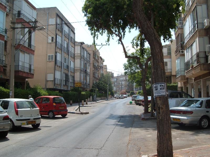שינקין - 2