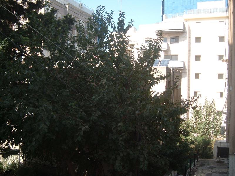 המתמיד - 3