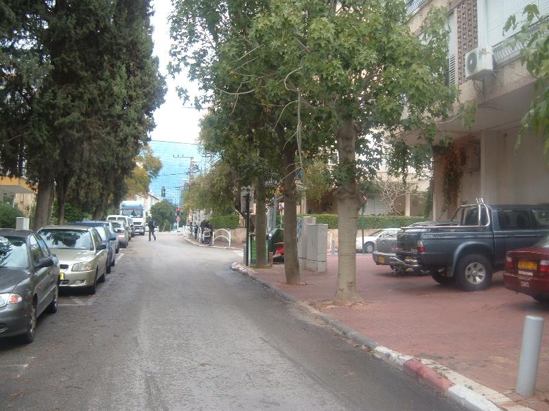 המתמיד - 2