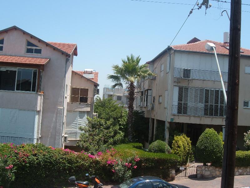 המרי - 3
