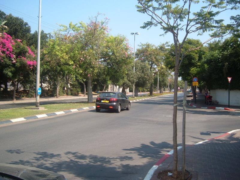 קרן היסוד - 6
