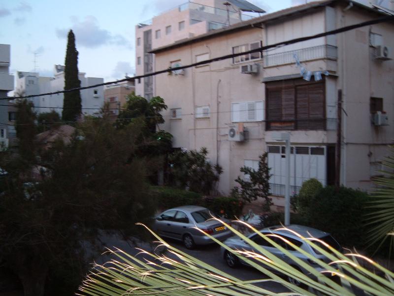 נרקיס - 3