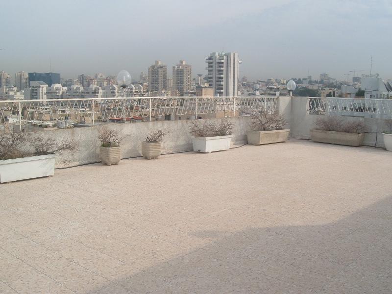טירת צבי - 3