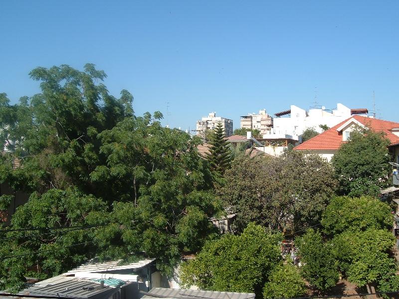 הפלמח - 4
