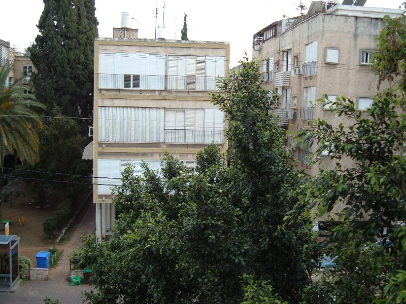כצנלסון - 2