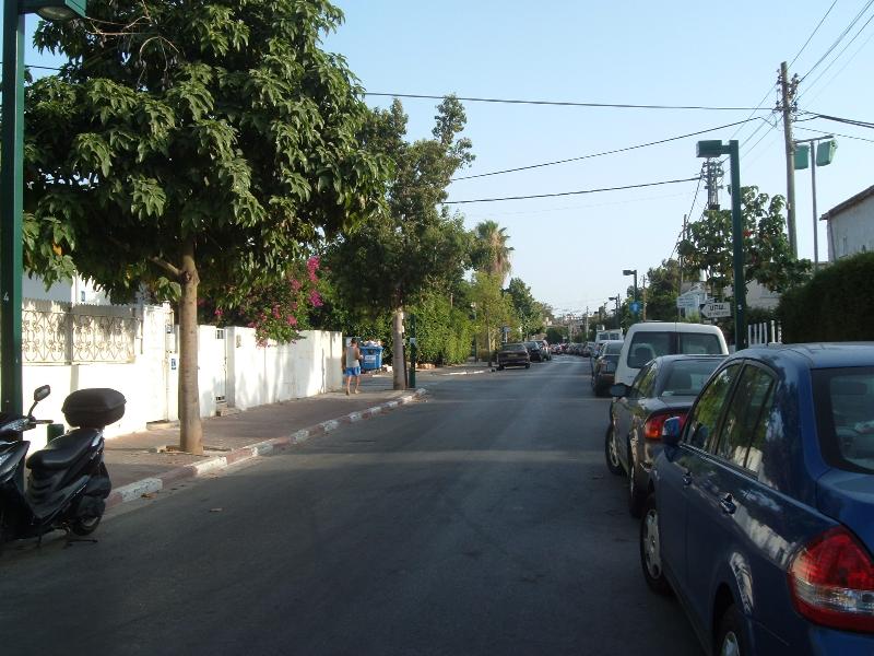 דם המכבים - 2