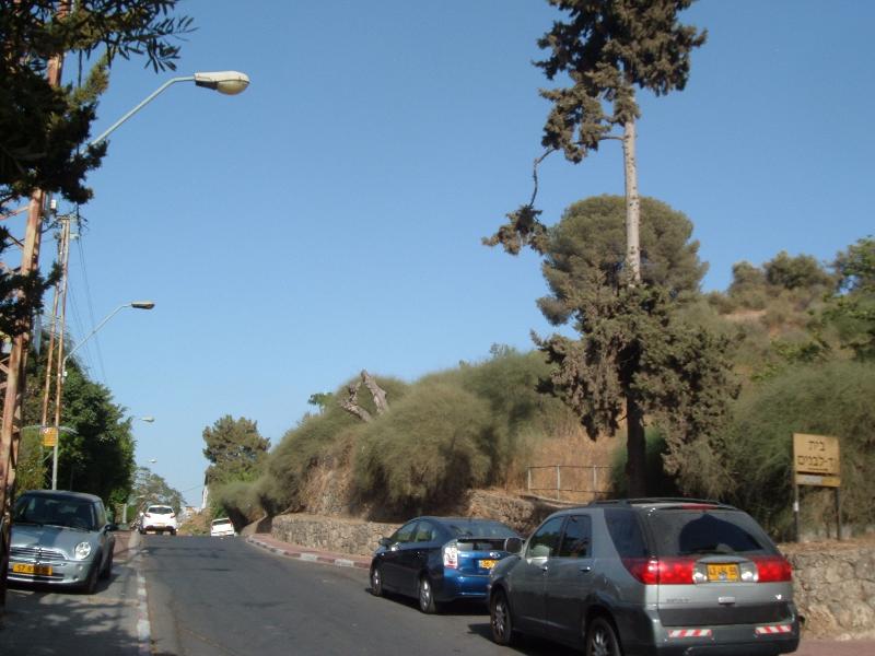 צל הגבעה - 5