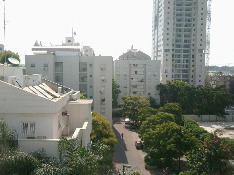 היסמין - 2