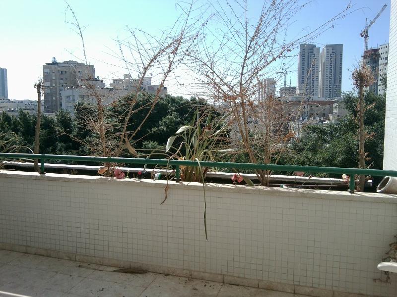 בורוכוב - 4