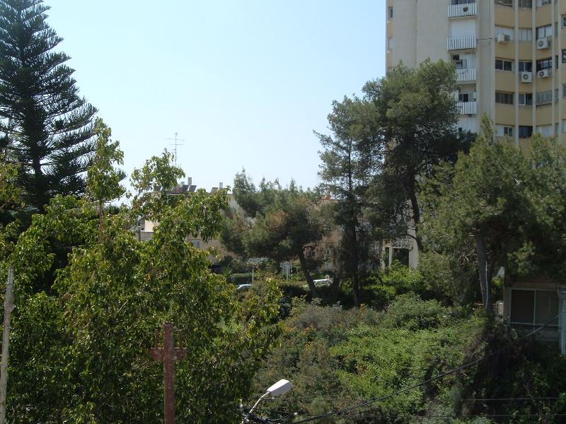 הידיד - 2