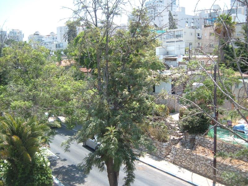 גולומב - 3