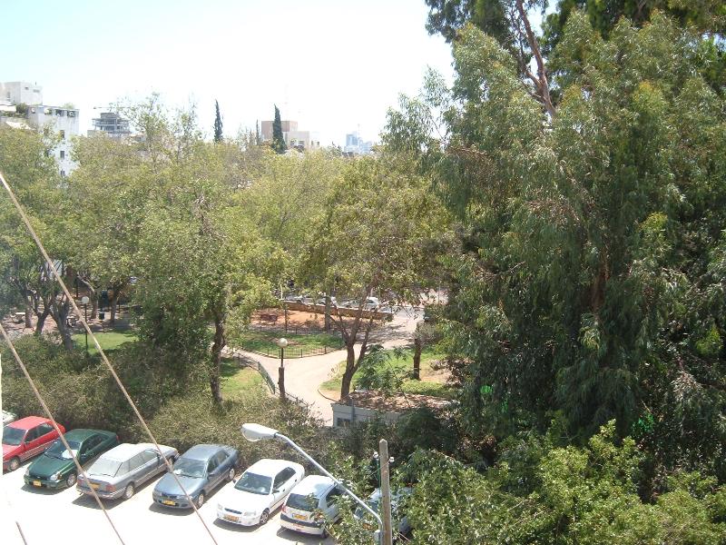 יהודה - 4