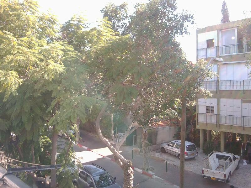 טייבר - 2