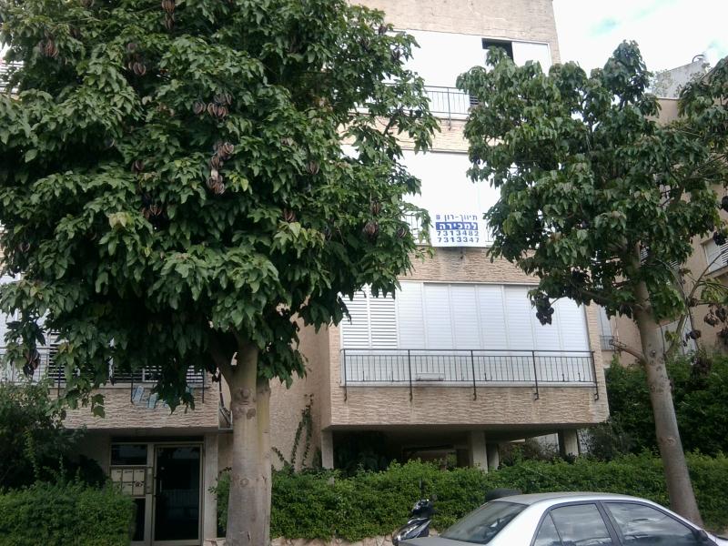 פנחס - 2