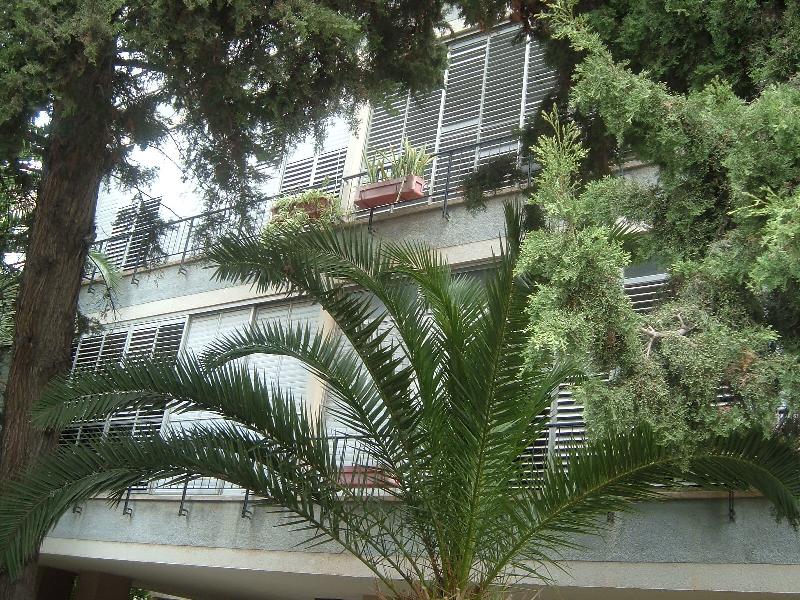 יפתח - 2