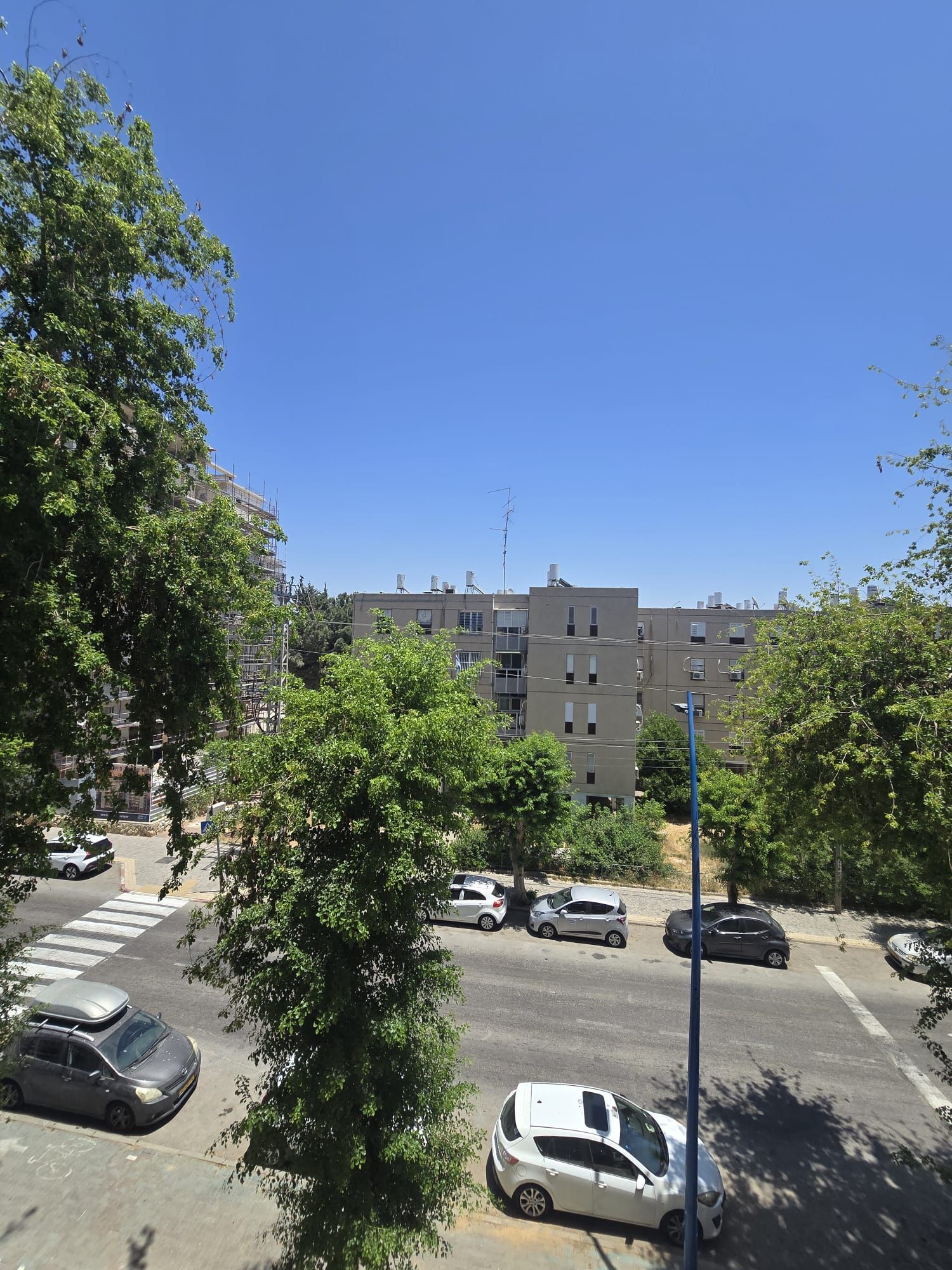 הדרור - 2