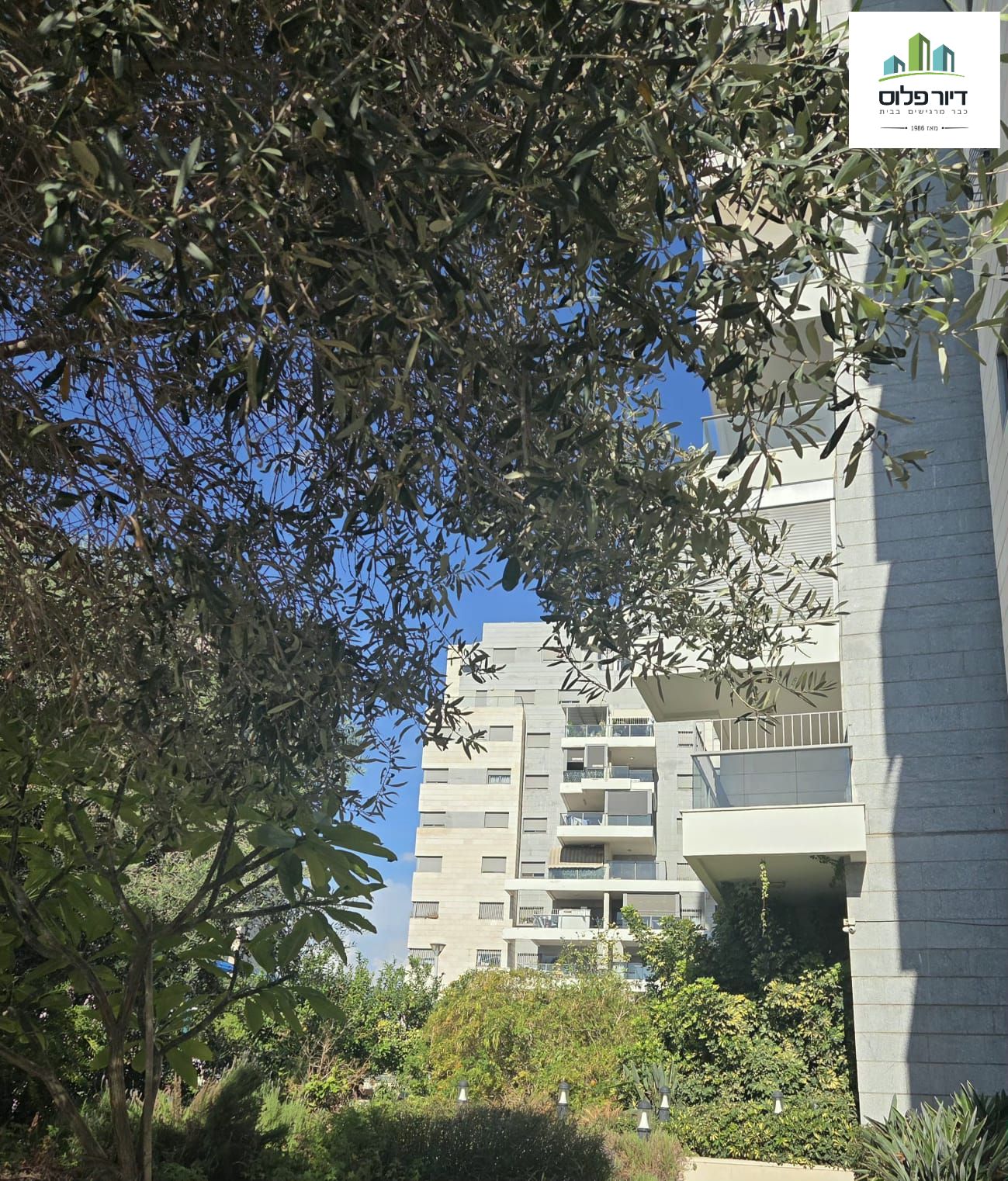 קאופמן חיים - 5