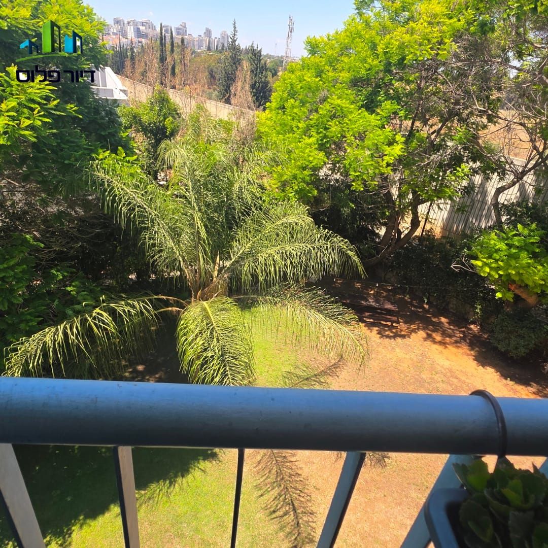 מירון אברמסון - 4