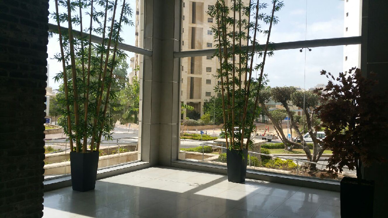 רפאל איתן - 9