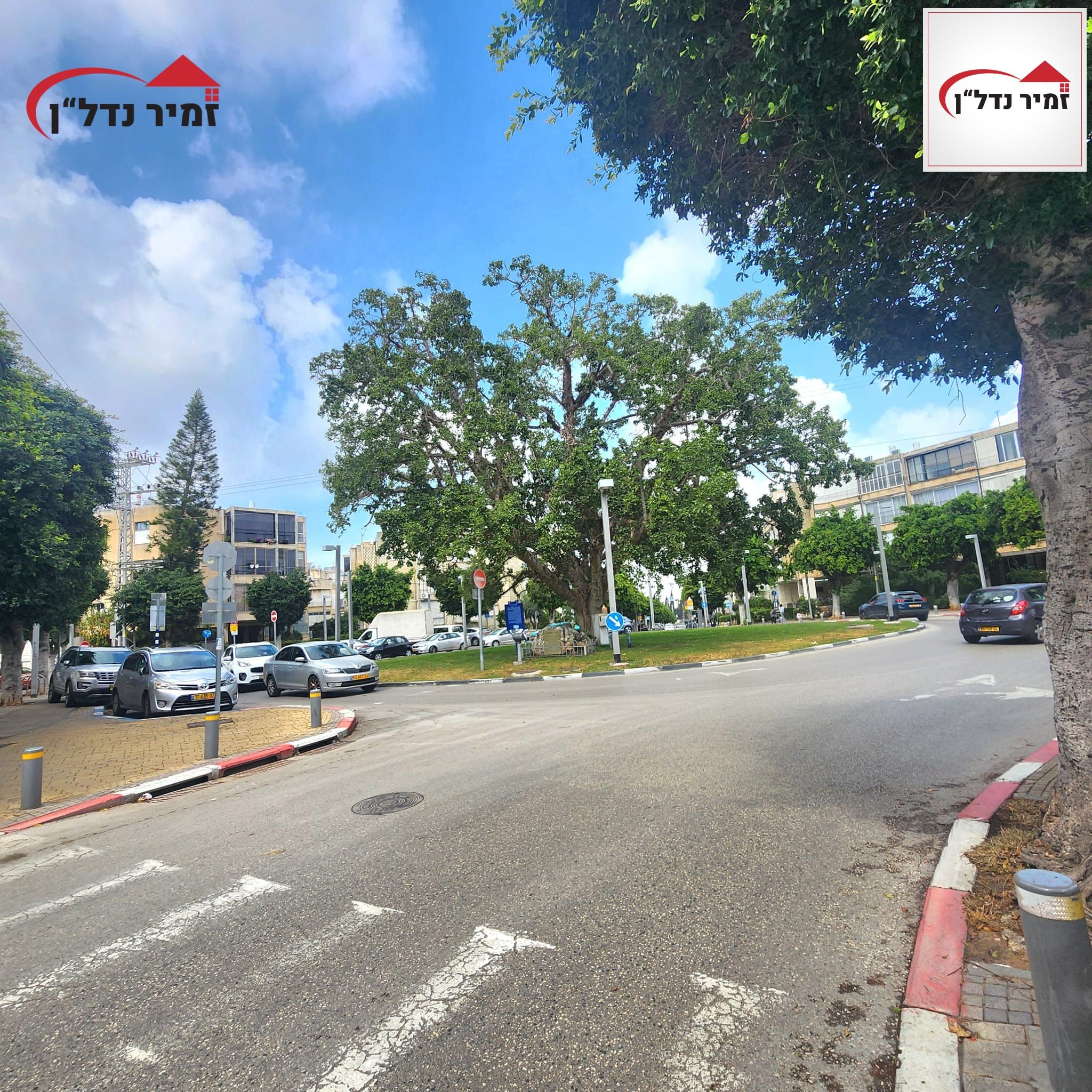 יהושע חנקין - 2