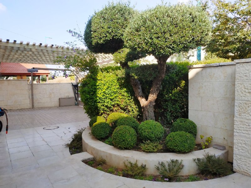 רבי יהושוע  - 6