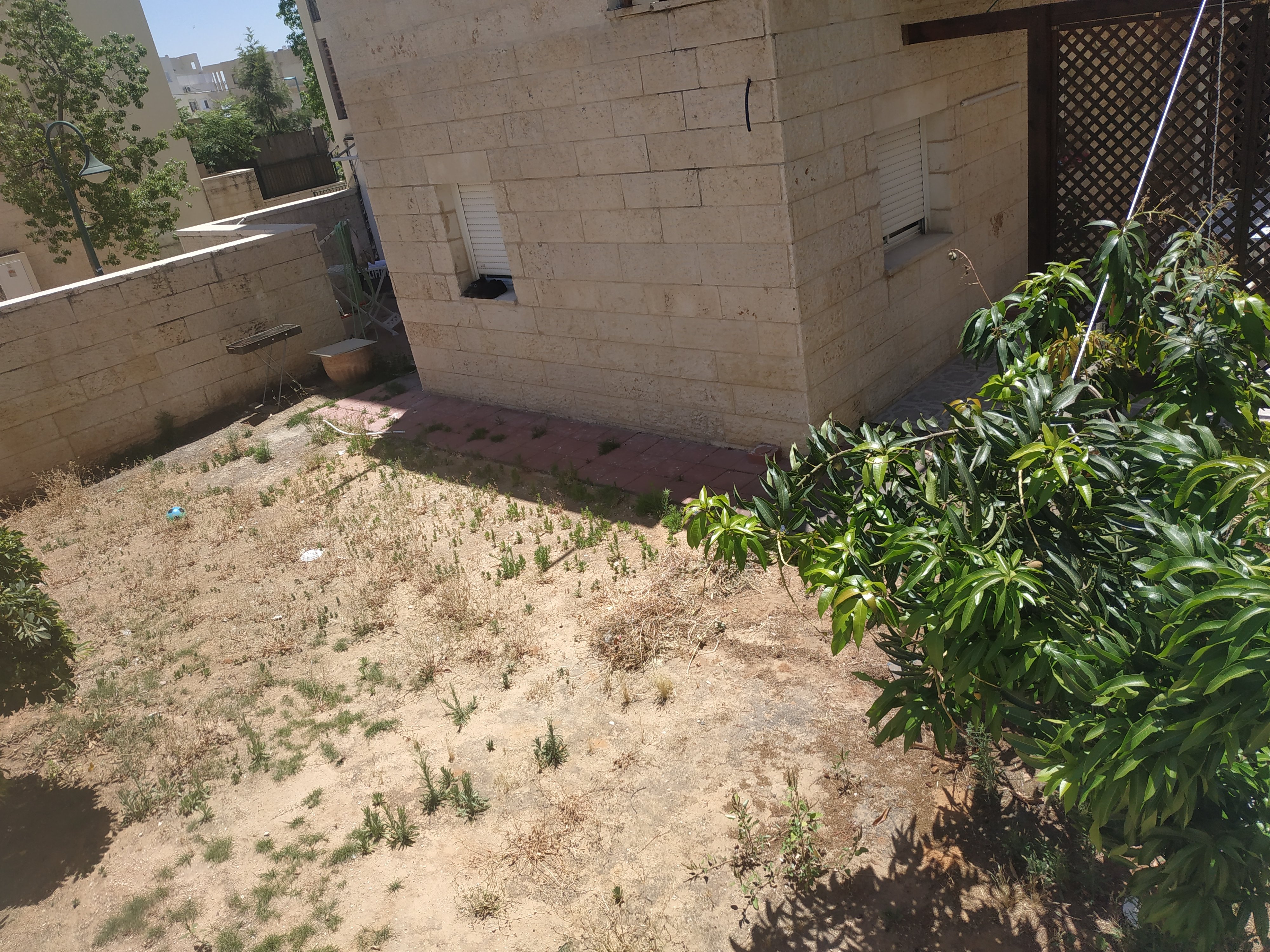 י בן עוזיאל - 4