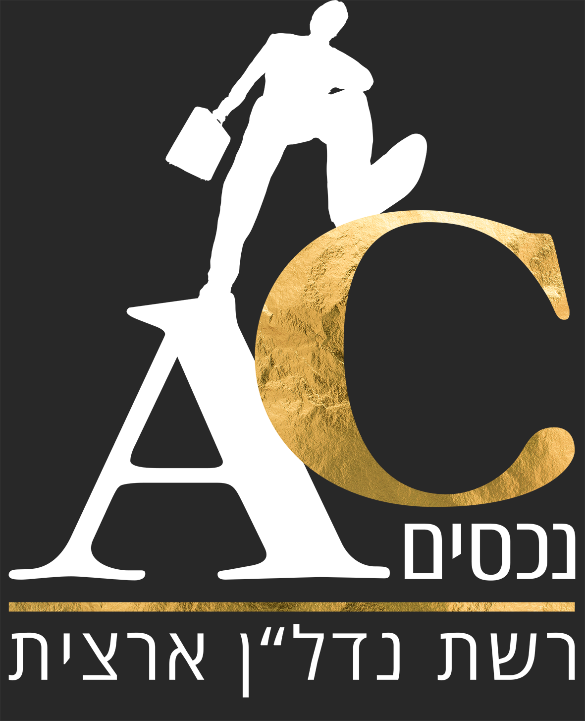 איי.סי נכסים
